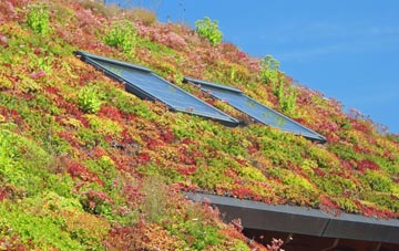 East Keswick living roof systems